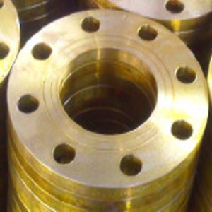 Picture of JIS Flanges